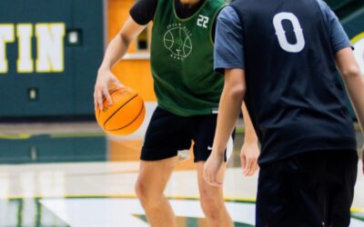 Dyson Torian High Motor High Ceiling Showing Promise