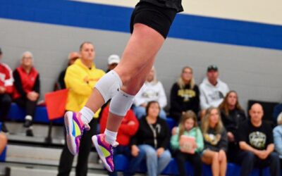 Leading By Example The Voice And Power Of Reese Redman